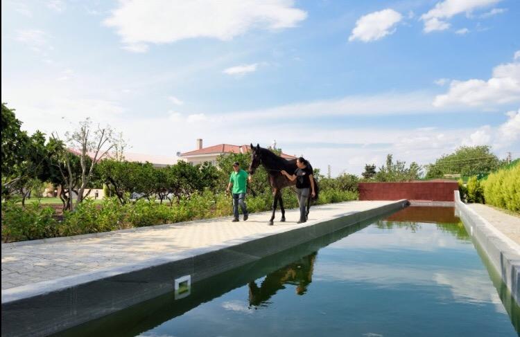 B. Equine Range Hotel Narlidere Eksteriør bilde